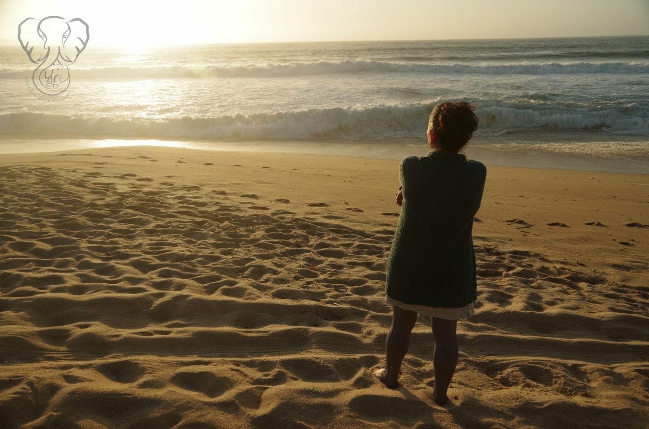 Miranda on the Pacific Coast in California 3