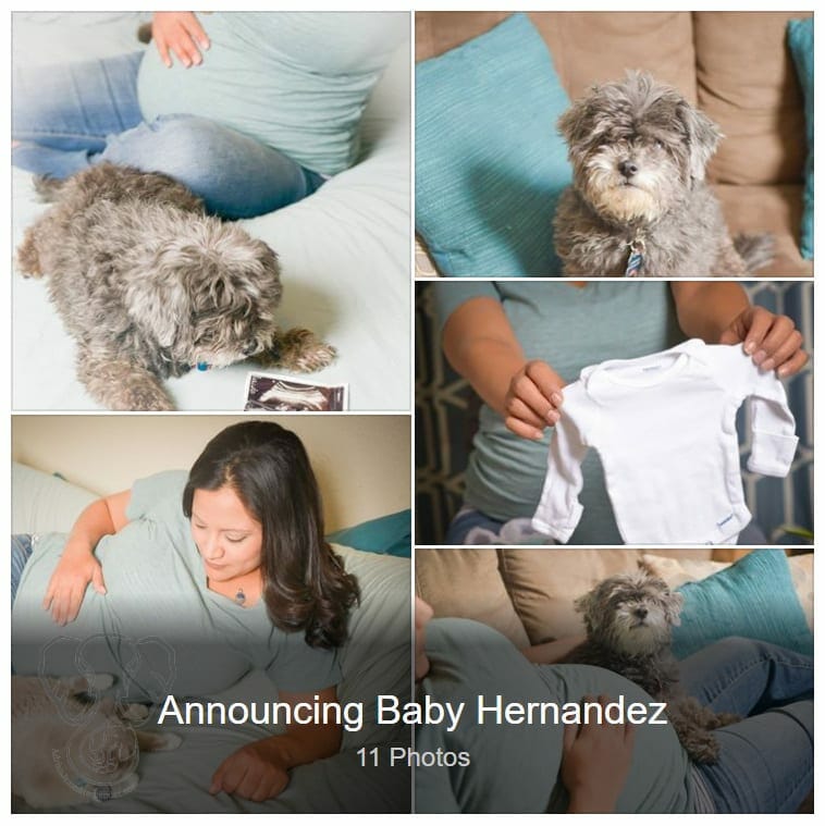 Announcing Baby Hernandez pt 1