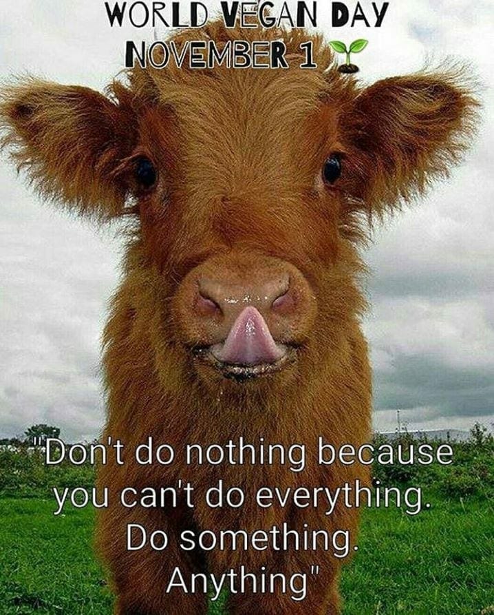 Life Meme: "Don't do nothing because you can't do everything. Do something. Anything"