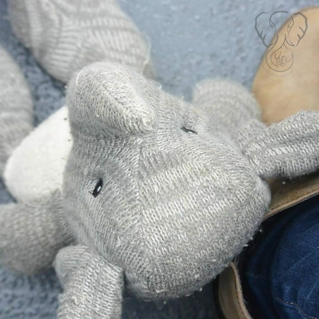 Adrian's elephant in San Francisco