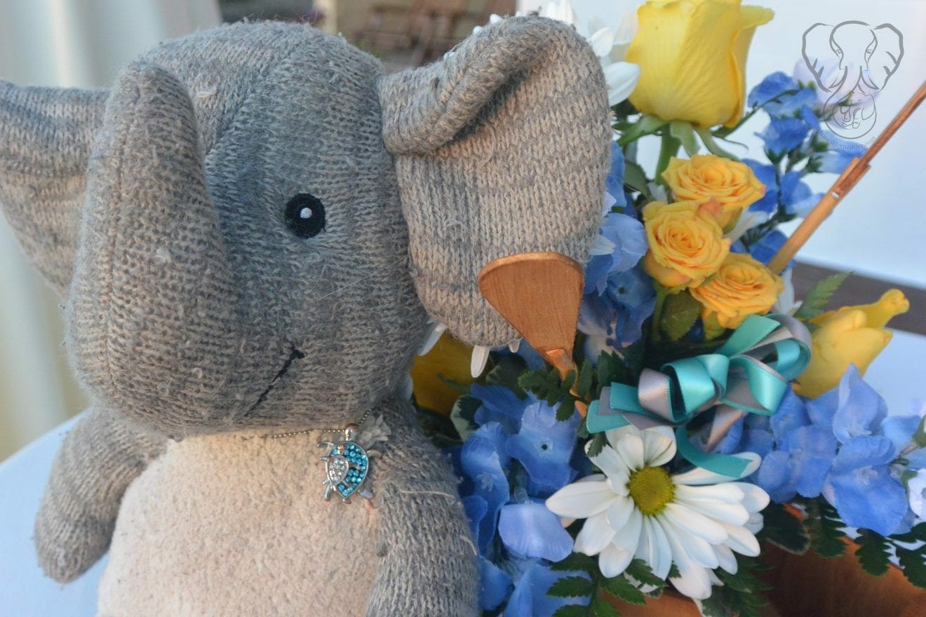 Adrian's First Birthday - Adrian's Elephant and a flower arrangement from his birthday (Miranda Hernandez)