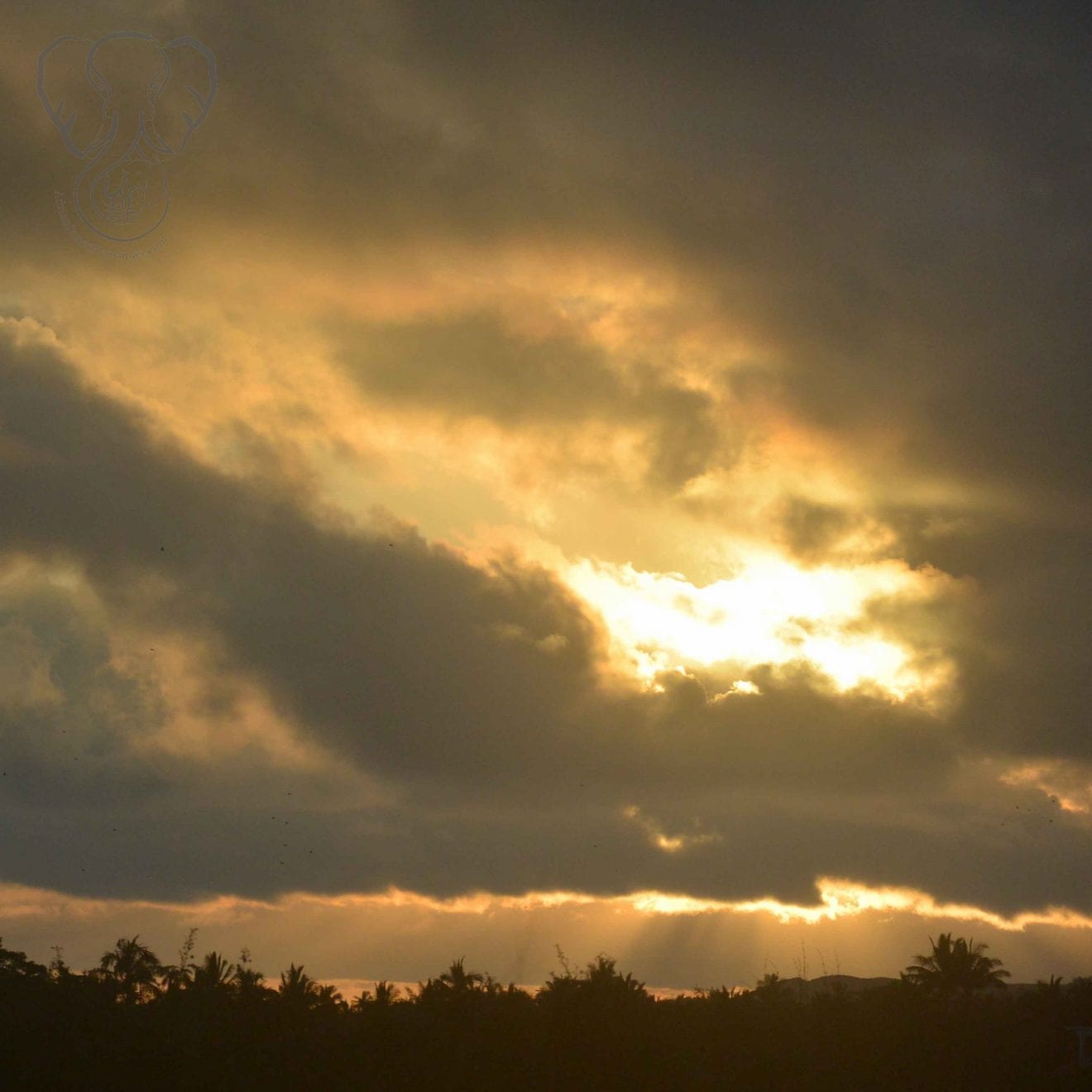 Sunset over Koloa, Kaua'i, Hawai'i (Miranda Hernandez)