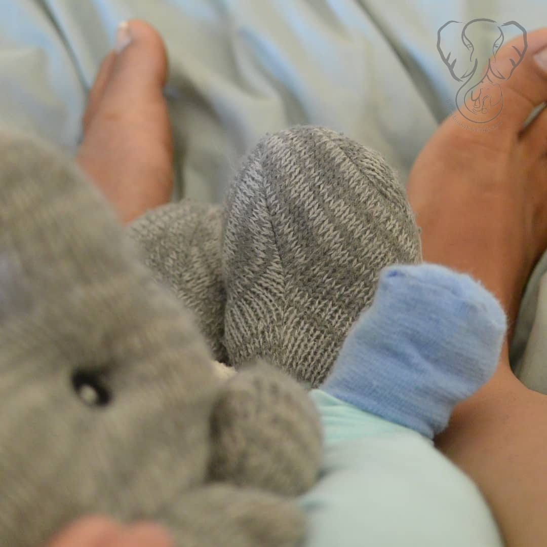 Miranda's and Peanut's feet with Adrian's elephant