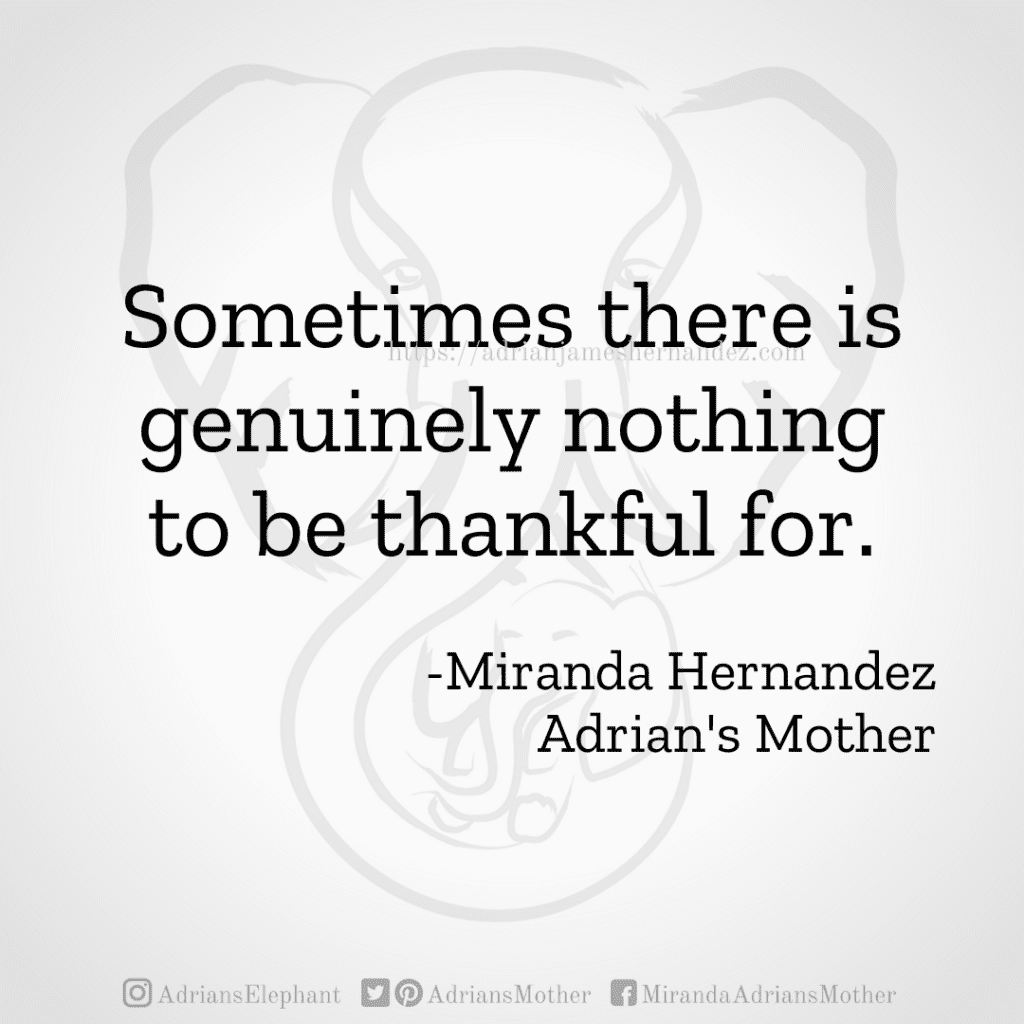 Sometimes there is genuinely nothing to be thankful for. - Miranda Hernandez, Adrian's Mother