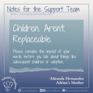 Notes for the Support Team - Children. Aren't. Replaceable. Please consider the impact of your words before you talk about things like subsequent children or adoption. -Miranda Hernandez, Adrian's Mother
