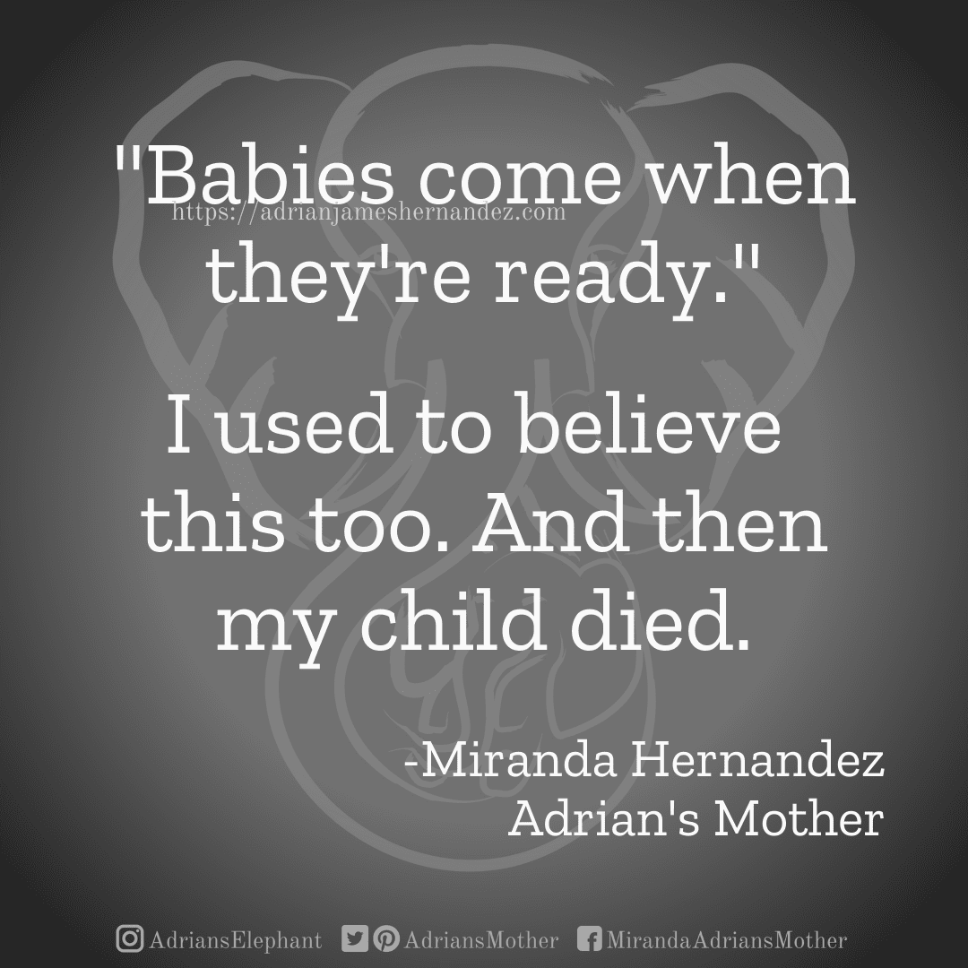 Download for Instagram "Babies come when they're ready." I used to believe this too. And then my child died. -Miranda Hernandez, Adrian's Mother