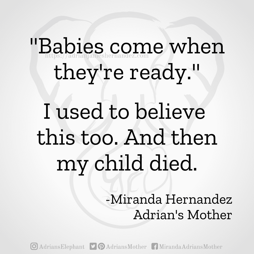 Download for Instagram "Babies come when they're ready." I used to believe this too. And then my child died. -Miranda Hernandez, Adrian's Mother