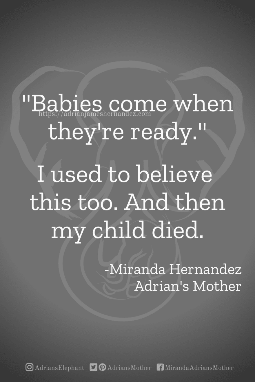 Download or click "P"/Save button to post to Pinterest "Babies come when they're ready." I used to believe this too. And then my child died. -Miranda Hernandez, Adrian's Mother