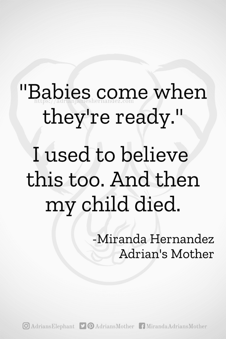 Download or click "P"/Save button to post to Pinterest "Babies come when they're ready." I used to believe this too. And then my child died. -Miranda Hernandez, Adrian's Mother