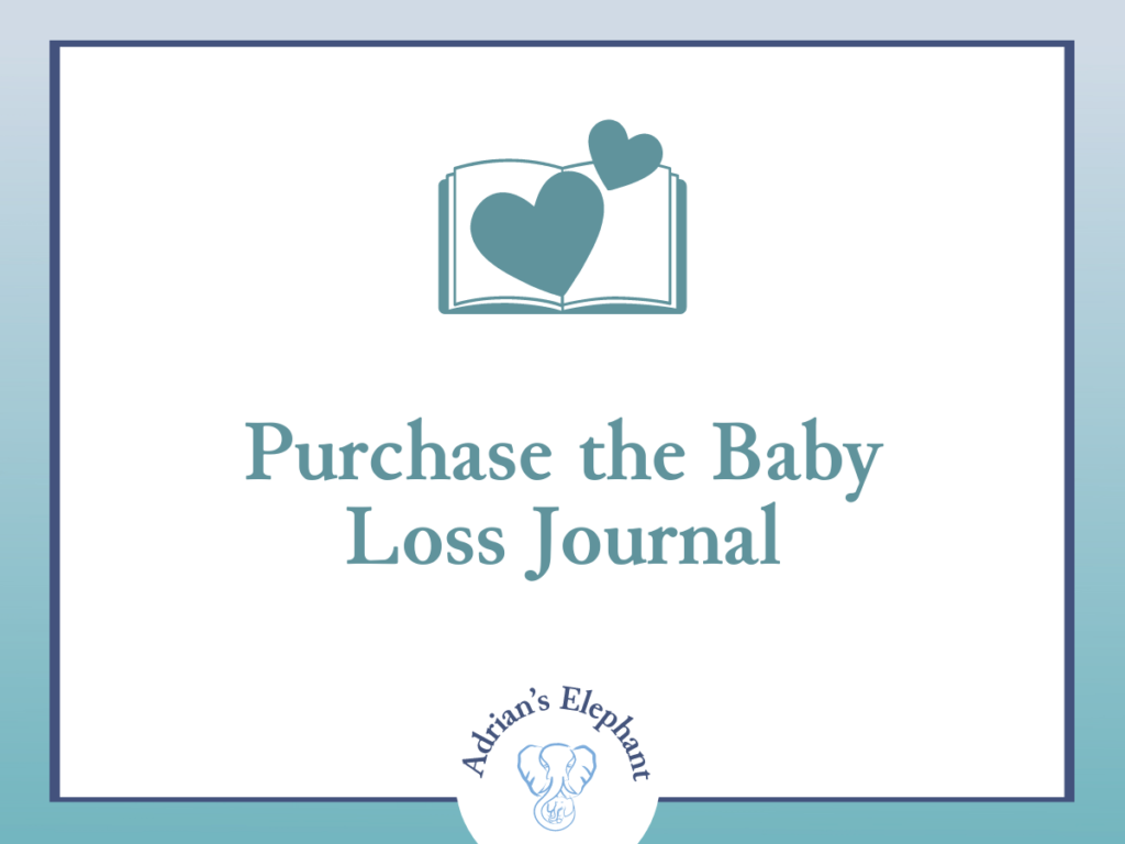 Purchase the Baby Loss Journal