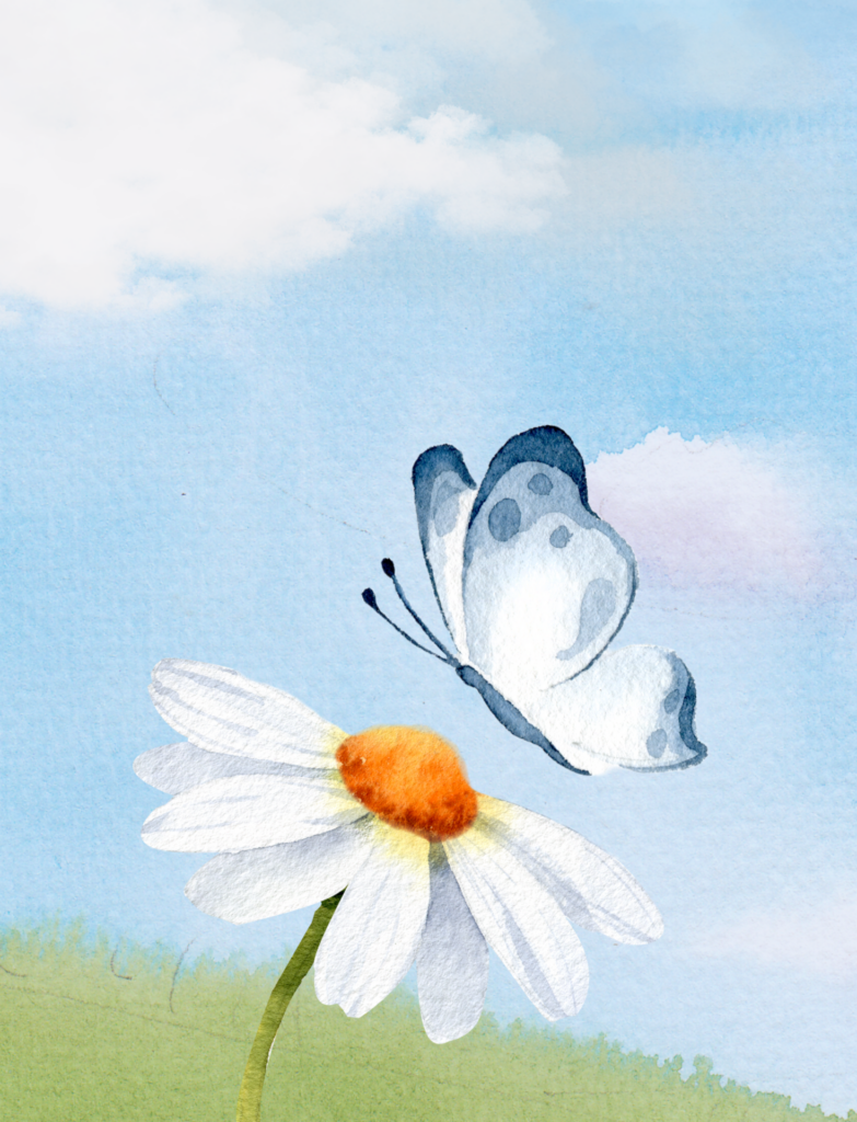 Image of blue-and-white butterfly alighting on an orange and white daisy in a field.